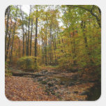 Fall Creek at Laurel Hill State Park Sticker