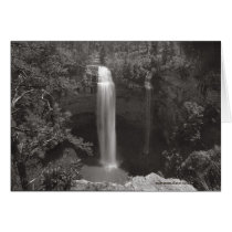 Fall Creek Falls cards