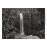 Fall Creek Falls cards