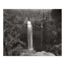 Fall Creek Falls posters