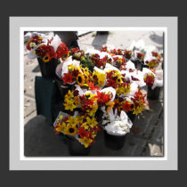 Fall Cut Flowers - Brockville Farmers' Market posters