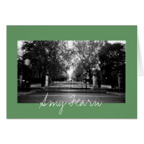 Fall Day in the Park cards