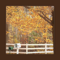 Fall Day magnet magnets