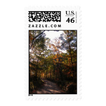 Fall Dirt Road postage by PhotoJoeVa Fall Dirt Road postage