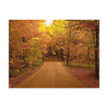 Fall Drive Color Tour Postcard