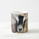Fall Fair Billy Goat mugs