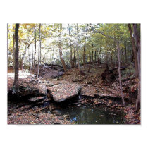 Fall Falls posters by coaster_cog Fall Falls posters