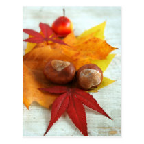 Fall Feelings postcards