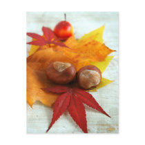 Fall Feelings postcards by MeetaA Fall Feelings postcards