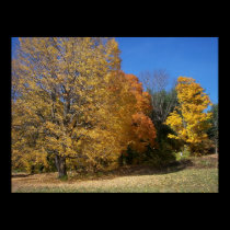 Fall fire posters
