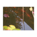 Fall Fish Fall Fish