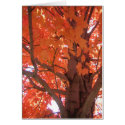 Fall Flair Card
