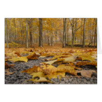 Fall Flooring cards