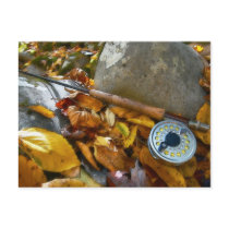 Fall Fly Fishing Rod Postcard