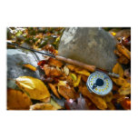 Fall Fly Fishing Rod