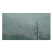 Fall Fog business cards