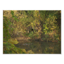 Fall Foilage and Under the Bridge Photograph
