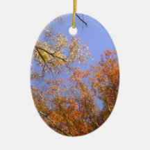 Fall Foliage 1 Christmas Ornament