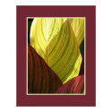 Fall Foliage Abstract posters by djacovitch Fall Foliage Abstract posters