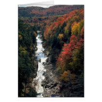 Fall foliage at Queechee Gorge, Queechee, Vermont, Greeting Cards
