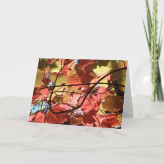 Fall Foliage Blank Greeting Card