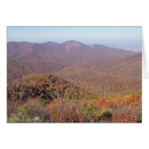 Fall foliage cards