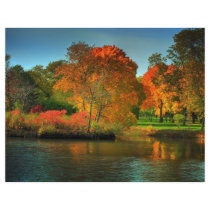 Fall Foliage Flyers