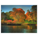 Fall Foliage Flyers