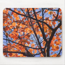 Fall Foliage in NH 1 Mousepad