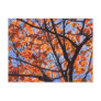 Fall Foliage in NH 1 Postcards