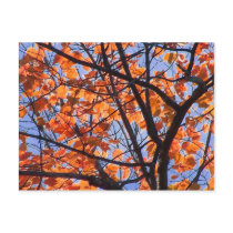 Fall Foliage in NH 1 postcards