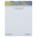 Fall Foliage Letterhead
