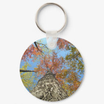 Fall foliage looking up keychains