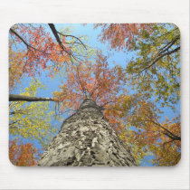 Fall foliage looking up mousepads