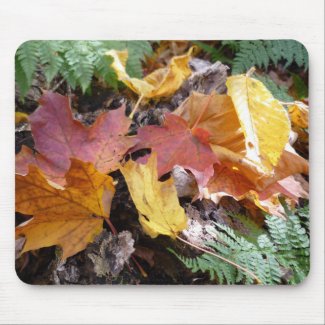 Fall Foliage Mousepad mousepad