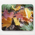 Fall Foliage Mousepad by thewedge Fall Foliage Mousepad