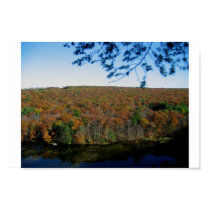 fall foliage over looking a small lake posters by jaylichtenberger fall foliage over looking a small lake posters