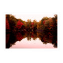 Fall Foliage posters