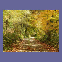 Fall Foliage posters
