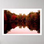 Fall Foliage Poster