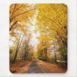 Fall Foliage Walking Path Mouse Mats