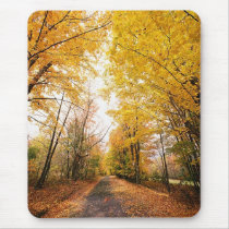 Fall Foliage Walking Path mousepads