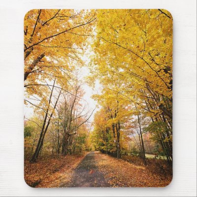 Fall Foliage Walking Path Mouse Mats by FallSeason