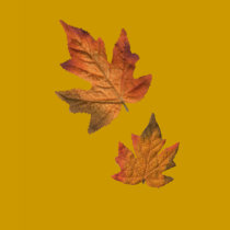 FALL for it tee shirt ! by write2chinu FALL for it tee shirt !