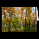 Fall Forest Card (Blank Inside)