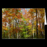 Fall Forest II Card