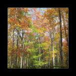 Fall Forest II Magnet