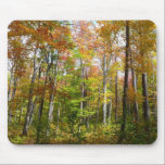 Fall Forest II Mousepad