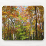 Fall Forest II Mousepad