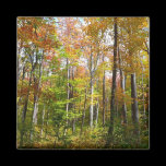 Fall Forest Magnet